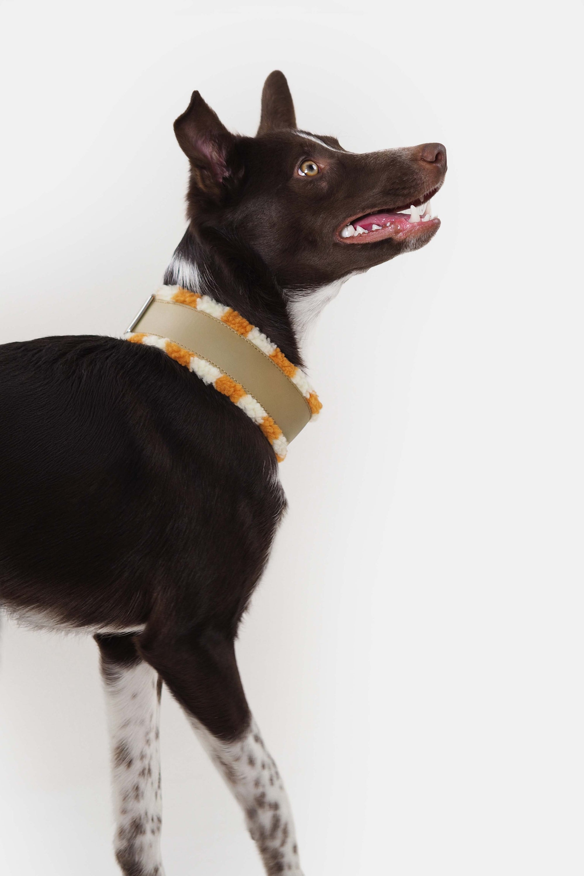 Leveä puolikuristava Teddy-panta