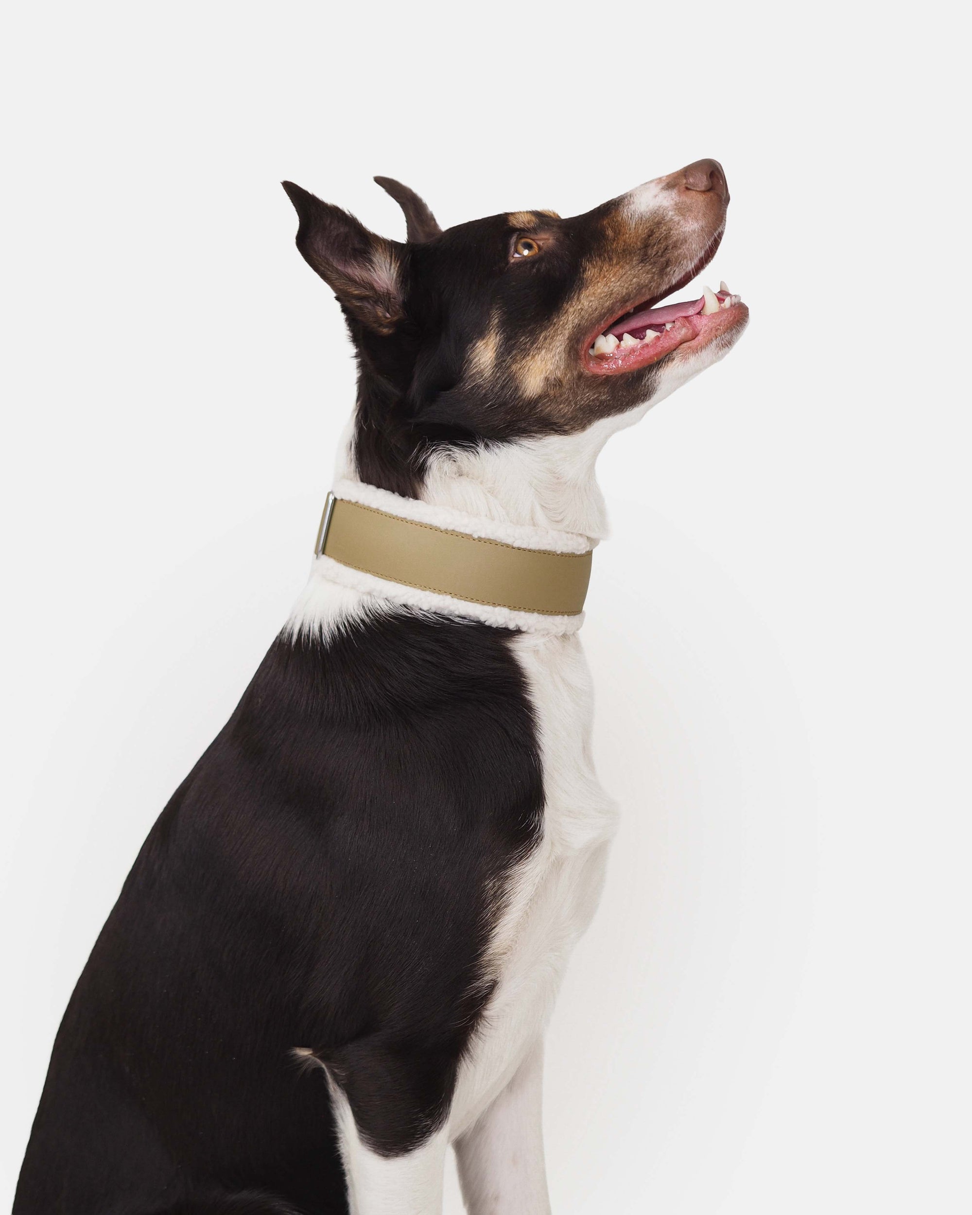 Leveä puolikuristava Teddy-panta