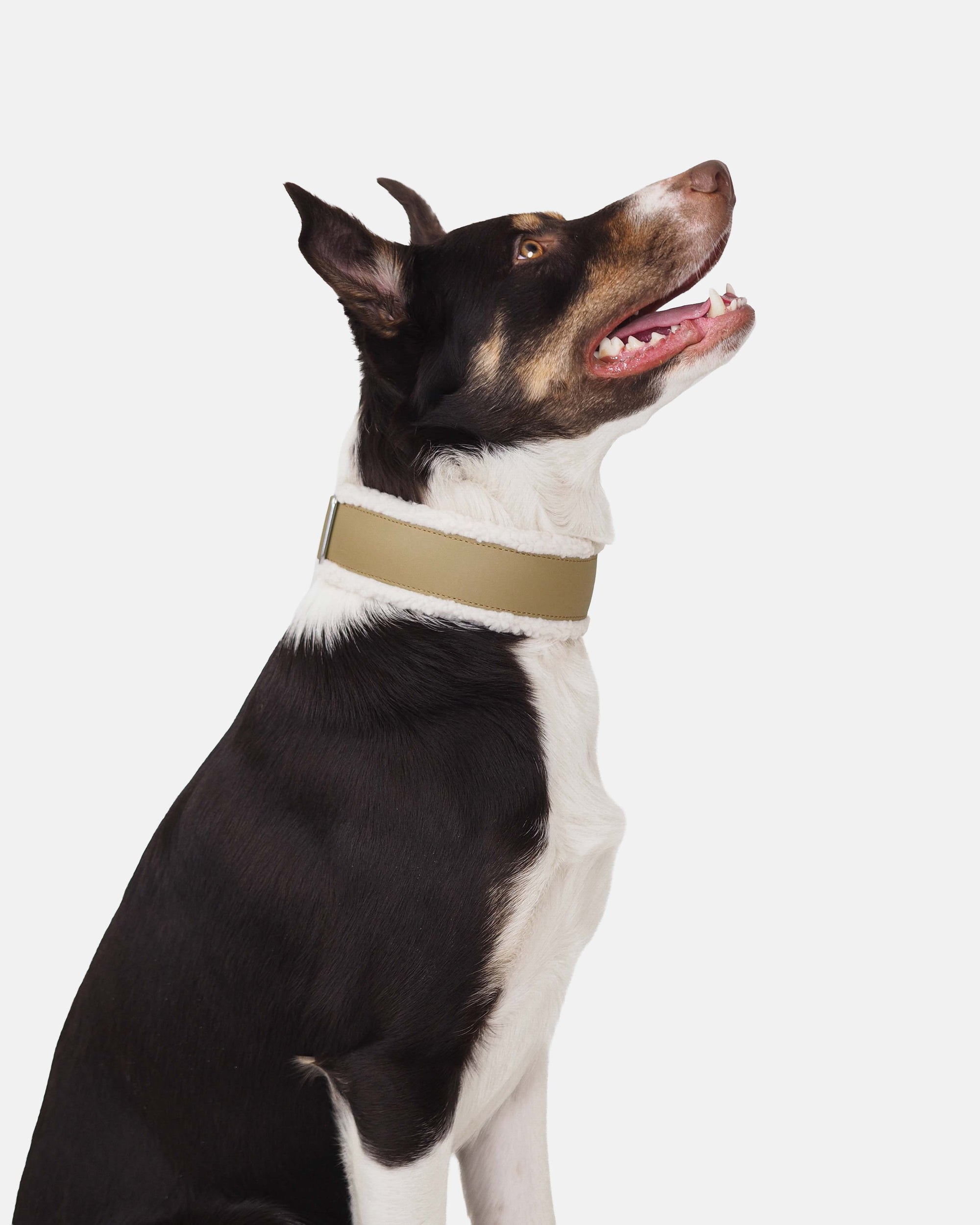 Leveä puolikuristava Teddy-panta