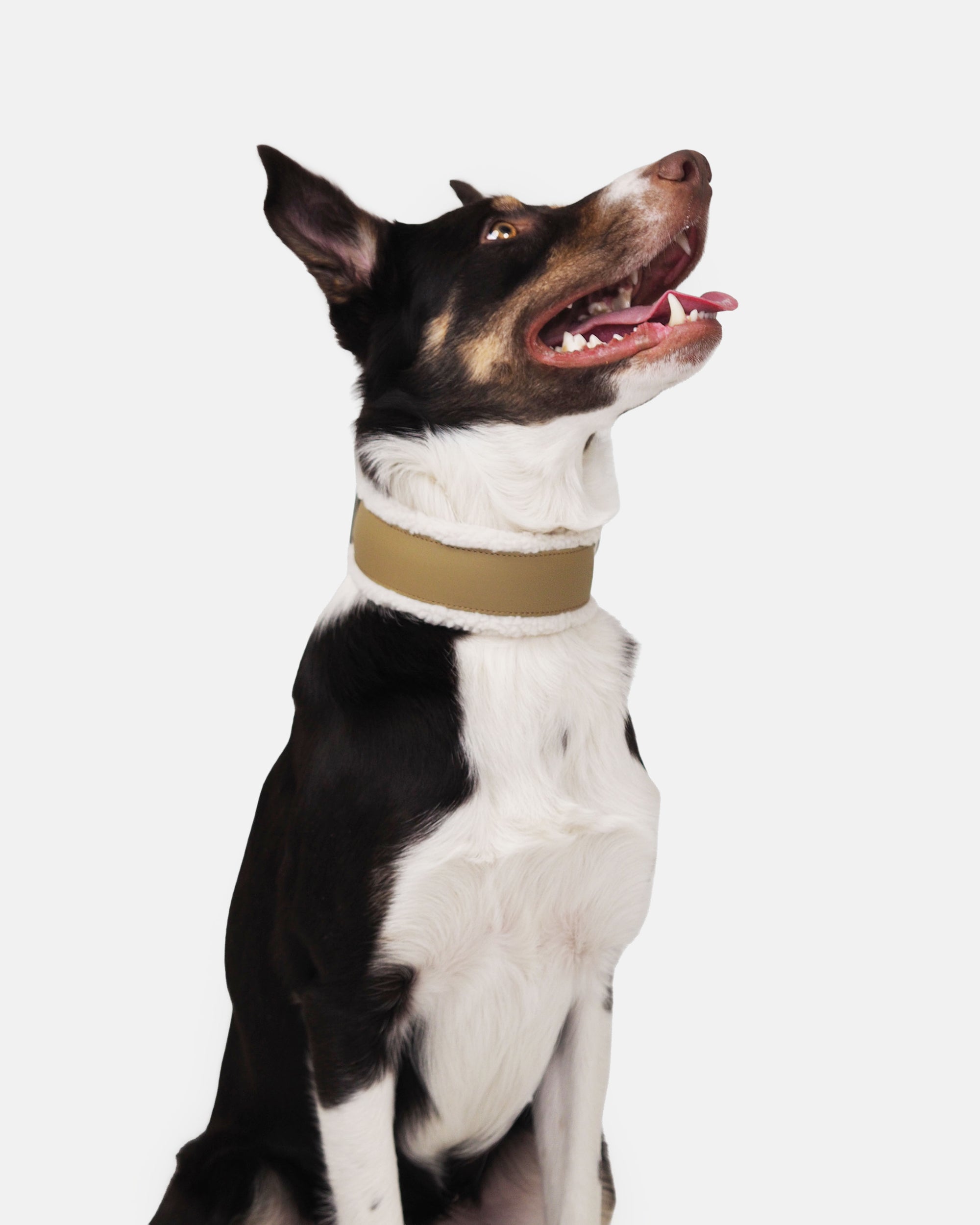 Leveä puolikuristava Teddy-panta