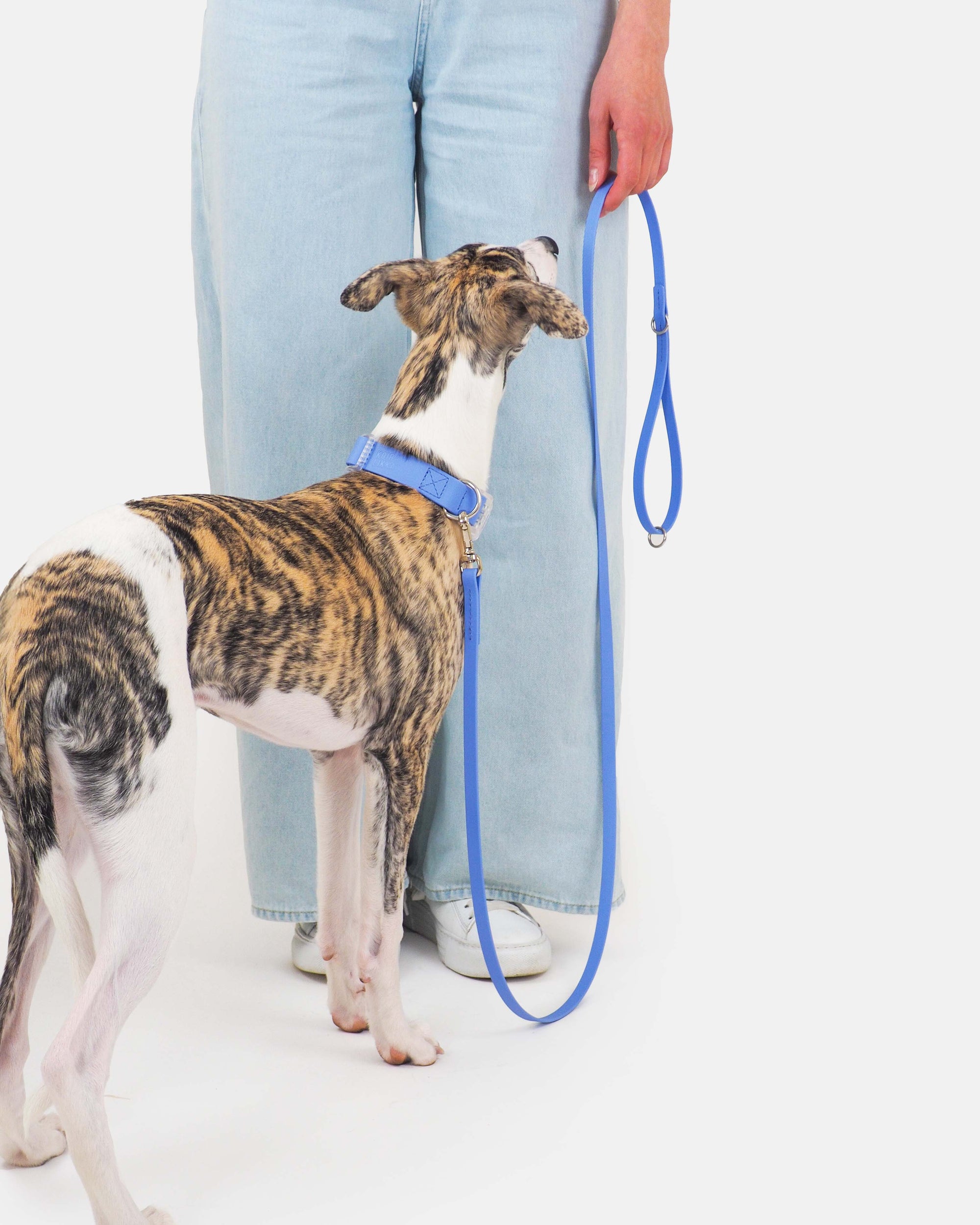 Biothane-perushihna 13mm