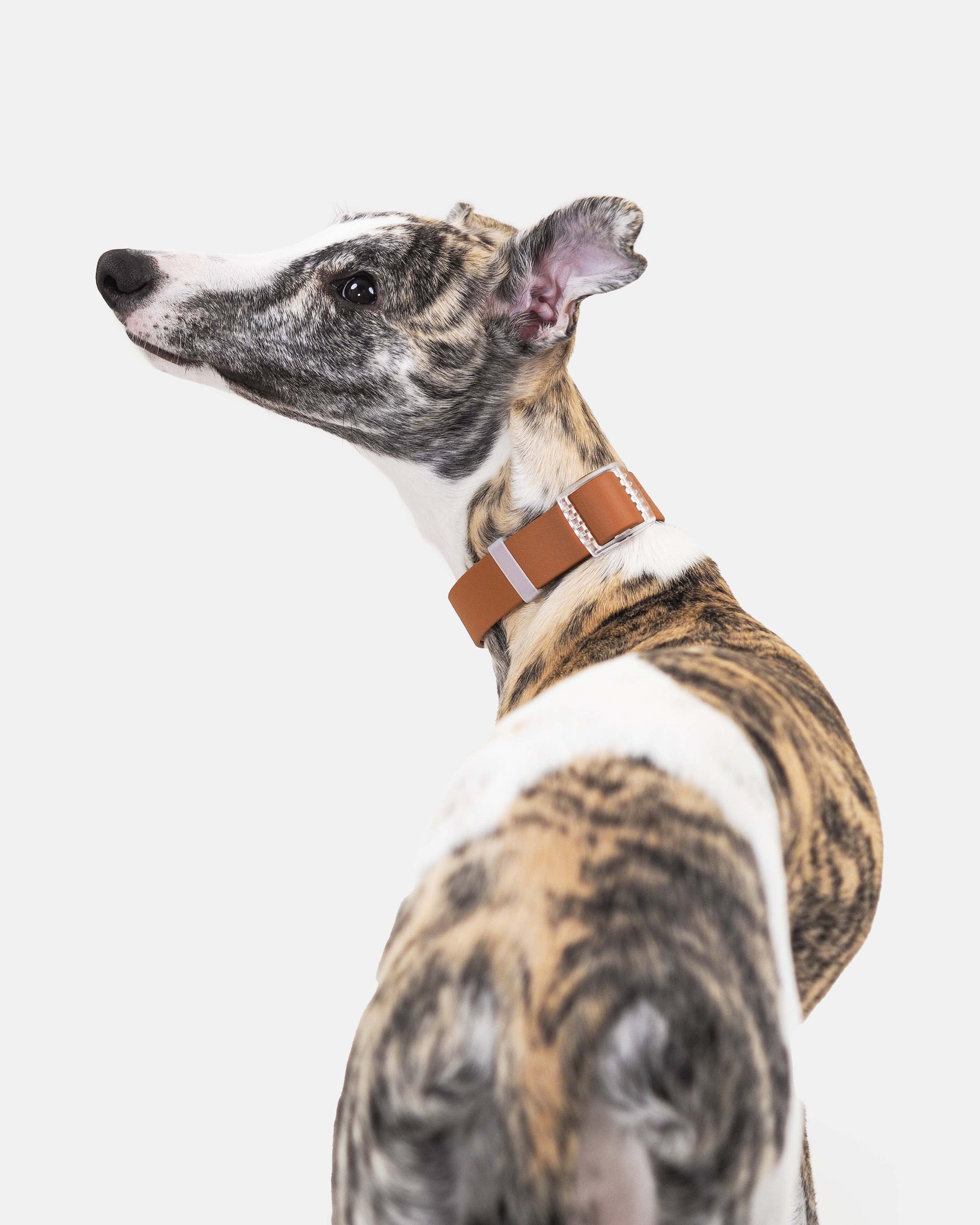 Biothane-kaulapanta pistolukolla