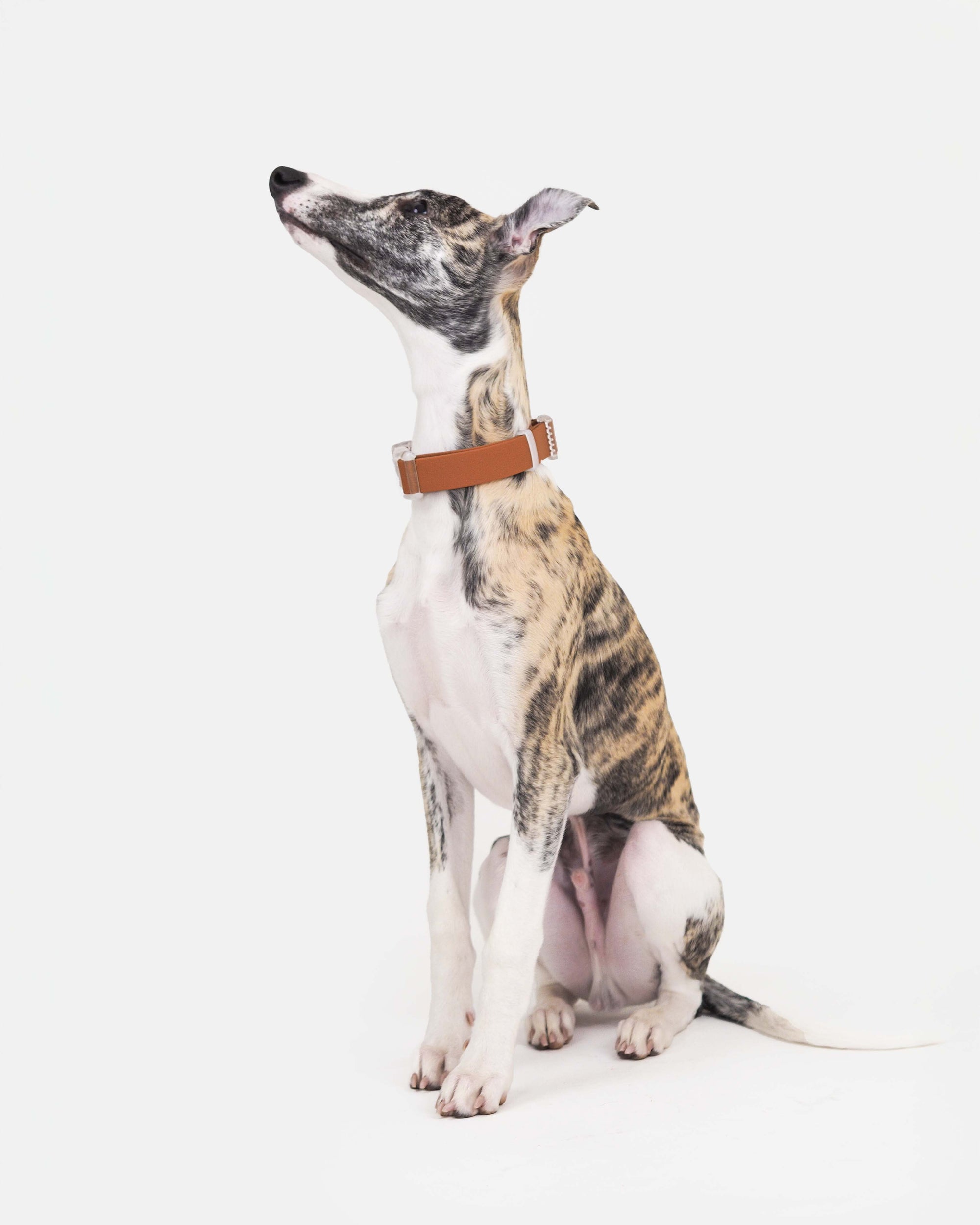 Biothane-kaulapanta pistolukolla