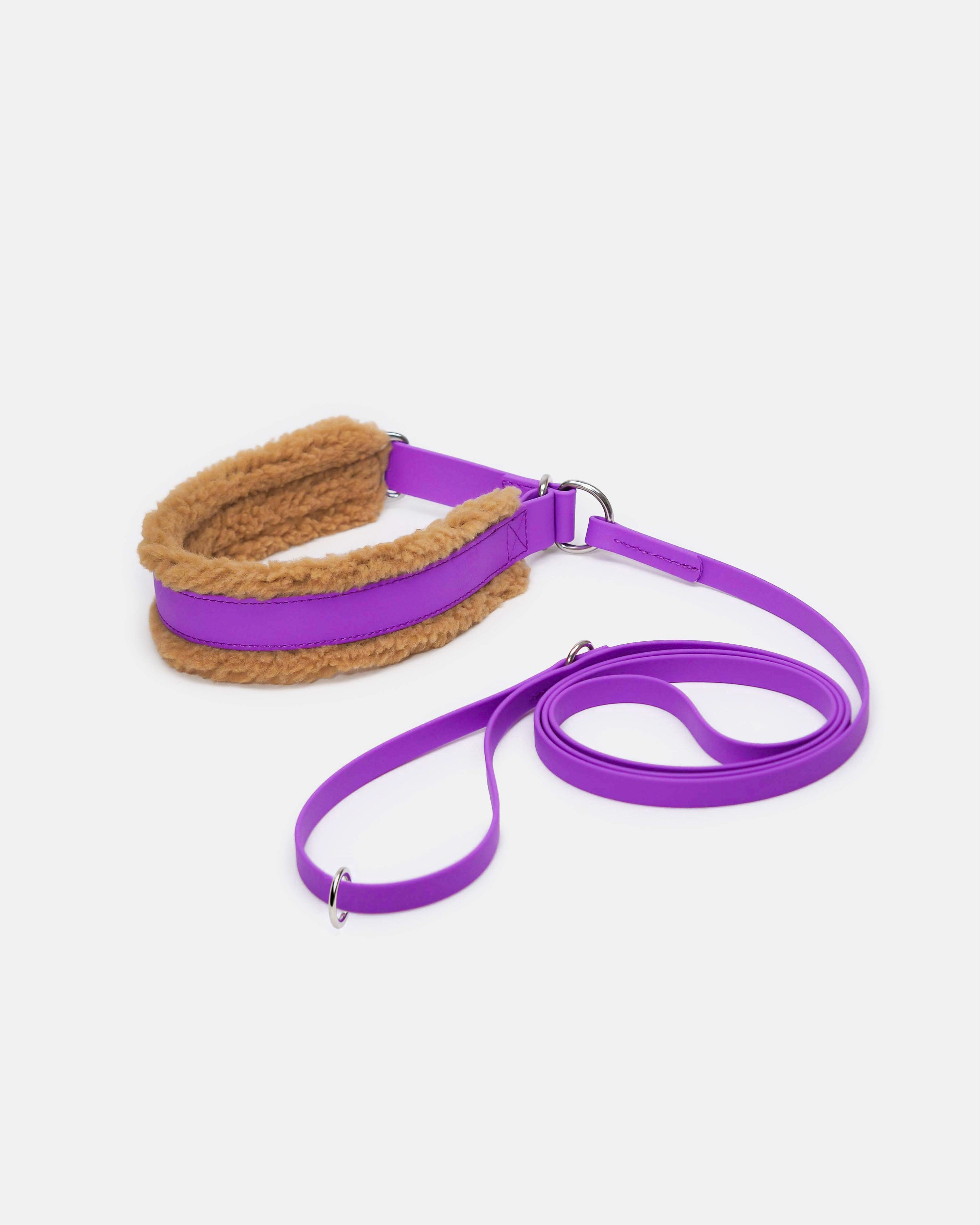 Puolikuristava Teddy-panta kiinteällä hihnalla