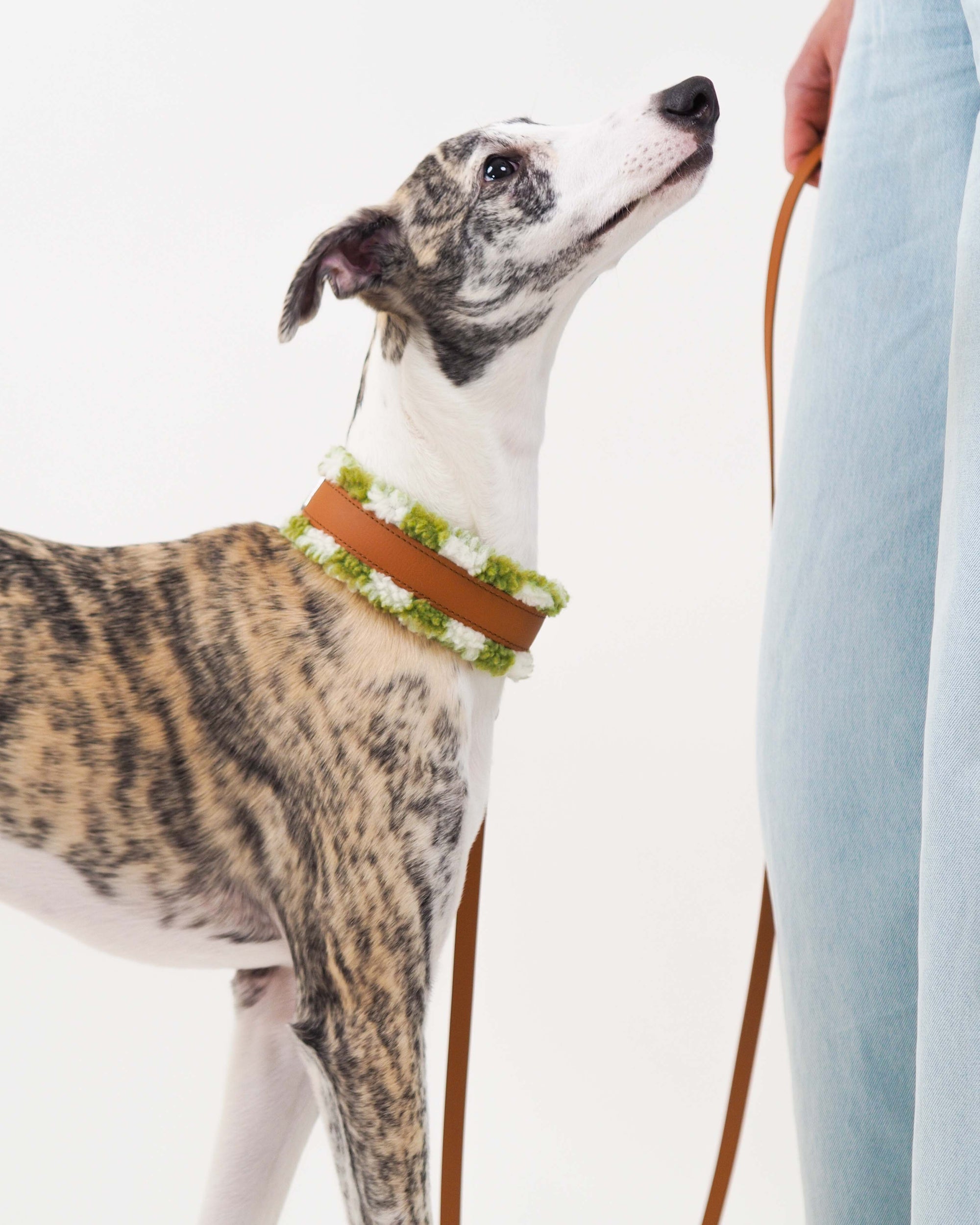 Puolikuristava Teddy-panta