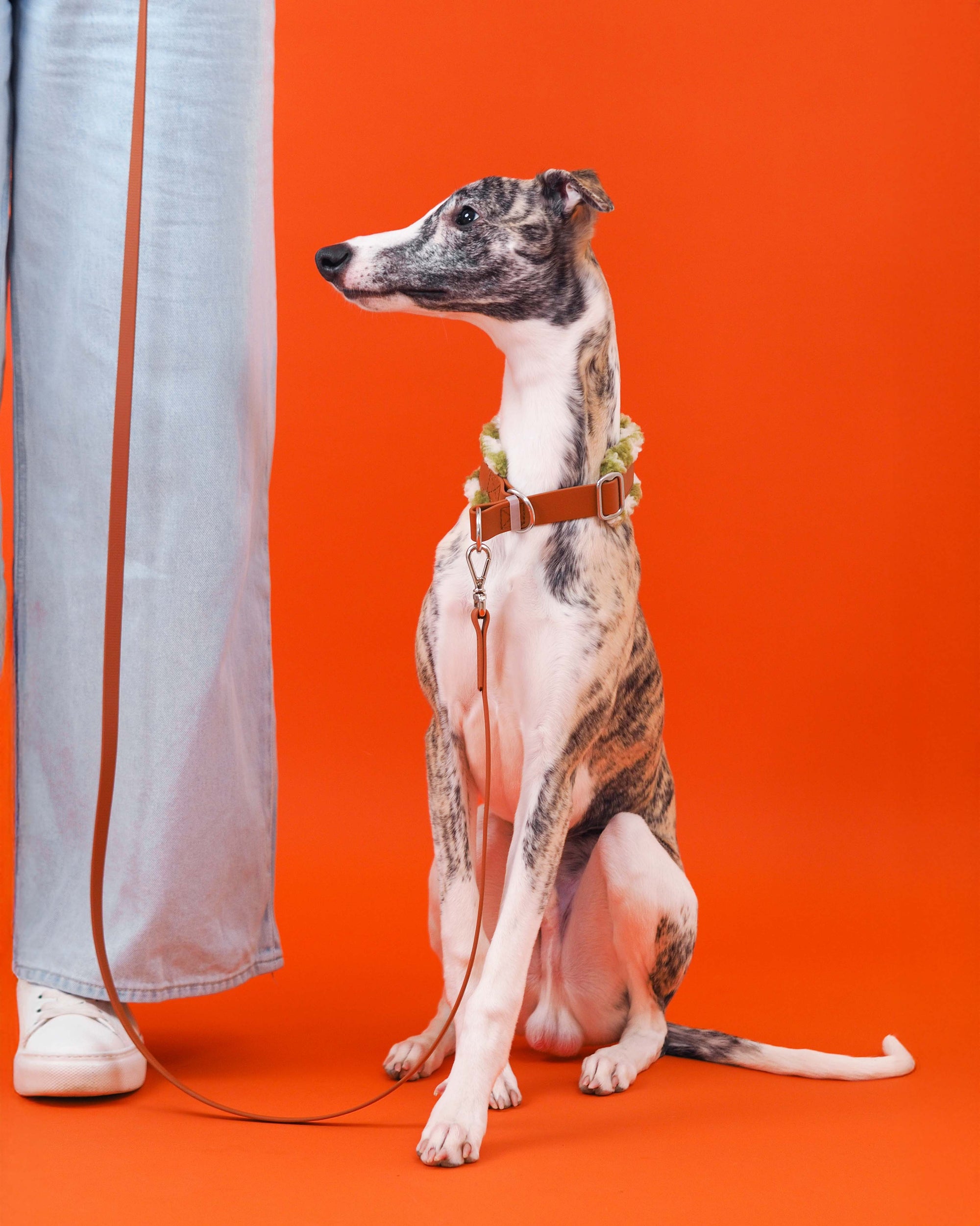 Puolikuristava Teddy-panta